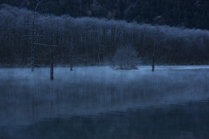 大正池と霧氷